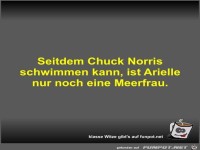 Seitdem Chuck Norris schwimmen kann
