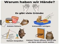 Warum haben wir Hnde? Katzen lieben es!