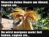 weiter