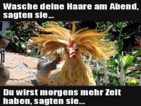 Wenn die Morgensession ein H�hnerfrisuralarm wird