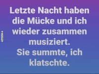 Nachtkonzert mit M�cke: Unfreiwillig grandios!