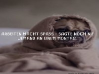 Montagsgefhle eines eingemummelten Hundes