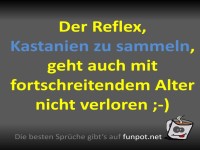 Kastanien-Sammel-Fieber kennt kein Alter