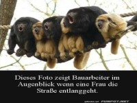 Affenchor: Baustellen-Style