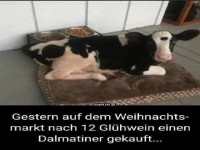 Dalmatiner oder Kuh? Gl�hwein-Entscheidungen!