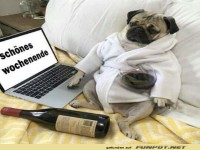 Sch�nes Wochenende