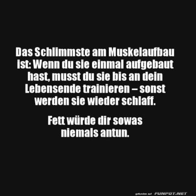 Muskelaufbau:-Ein-ewiges-Engagement.jpg von Phil-1986