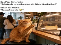 Der K�sekuchen-Klau: Katze schl�gt zu!