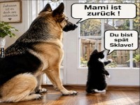 Tierische Empfangskomitee wartet!