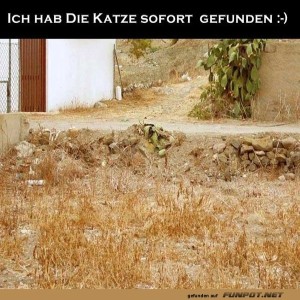 Finde-die-Katze.jpg von Tobias-1995
