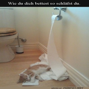 K�tzchen-liegt-weich.jpg von Liebeswolke