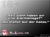 Seit-wann-haben-wir-eine-Alarmanlage