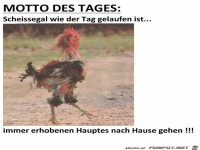 scheißegal wie der Tag gelaufen ist...