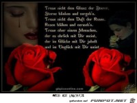 traue nicht dem Glanz der Sterne