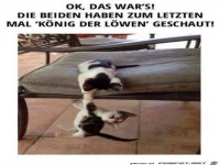 K�nig der L�wen