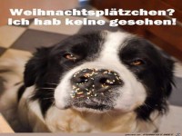 Weihnachtsplaetzchen