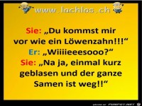 Löwenzahn........