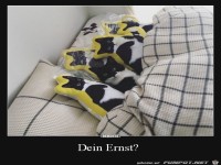 Dein Ernst?