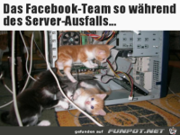 Das Team arbeitet daran