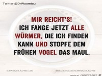 Gute Idee