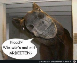 Arbeiten.jpg auf www.funpot.net