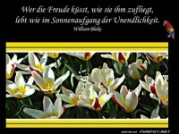 Wer die Freude kuesst