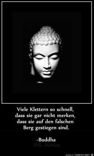 viele-klettern-so-schnell.jpg auf www.funpot.net