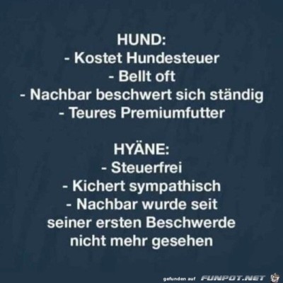 Hund-vs.-Hy&auml;ne.jpg von Emilia