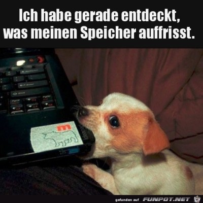 Speicher-gefressen.jpg von Lou