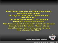 Ein F�rster erwischt im Wald einen Mann