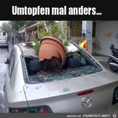 Mal-anders-umtopfen.jpg von Sweetheart