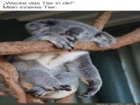 Das Tier in dir