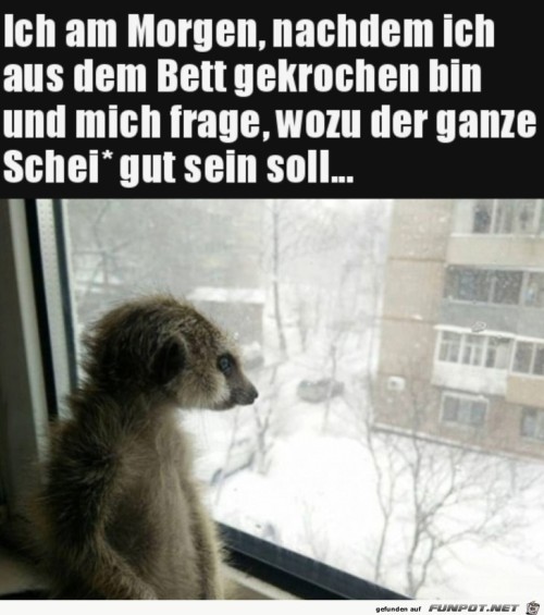 Ich-am-Morgen.jpg auf www.funpot.net