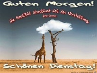 Dienstag