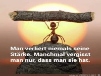 Man verliert niemals seine Strke