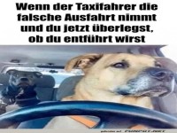 Falsche Ausfahrt