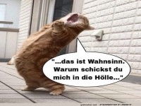 K�nnte der Petry sein