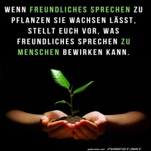 herz-Bild: Freundliches Sprechen