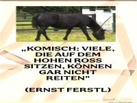 komisch, viele die auf dem hohen ross