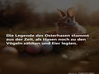 Ursprung der Osterhasen-Legende erkundet