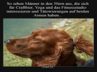 Hund mit menschlichem Lebensstil