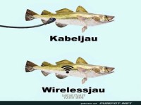Witziger Vergleich: Kabeljau und Wirelessjau