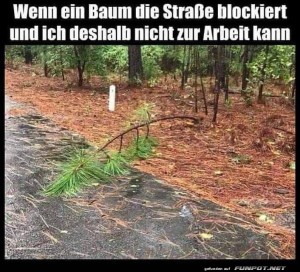 fun-Bild: Unüberwindbares Hindernis!