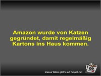 Amazon wurde von Katzen gegr�ndet