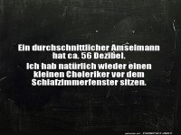 Amselm�nner und ihr Morgenkonzert