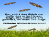 weiter
