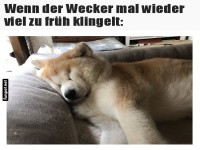 Wann ist endlich Wochenende?