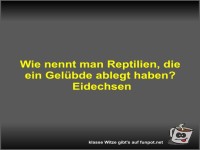 Wie nennt man Reptilien