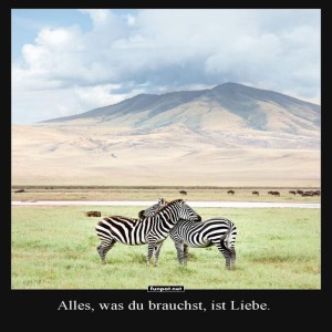 Liebe-im-Streifenmuster.jpg von Nele68