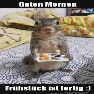 Guten-Morgen.jpg von Leif